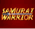 Samuray Warrior